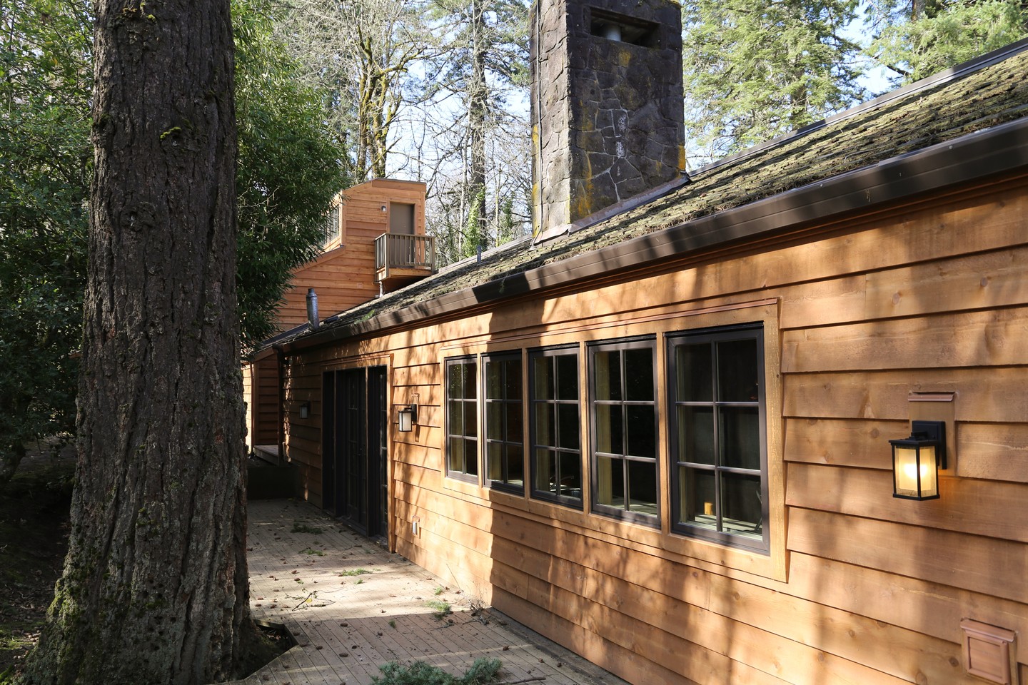 Horizontal cedar siding on a mid-century Portland home beneath tall fir trees